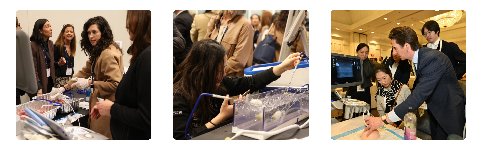 Photos from past Breast Cryoablation Master Classes